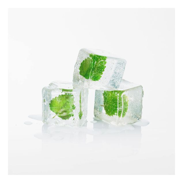 Glas Spritzschutz - Drei Eiswürfel mit Melisse - Quadrat - 1:1