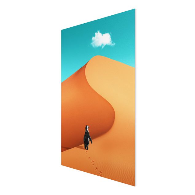 Foto auf Hartschaumplatte Wüste mit Pinguin
