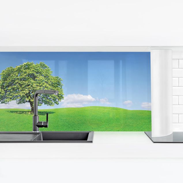 Küchenrückwand selbstklebend Panoramic