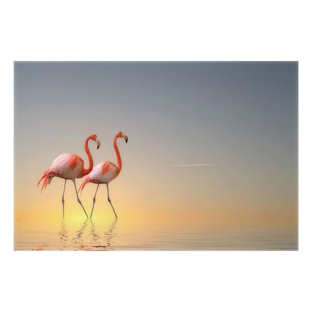 Spritzschutz Glas - Flamingo Love - Querformat - 3:2