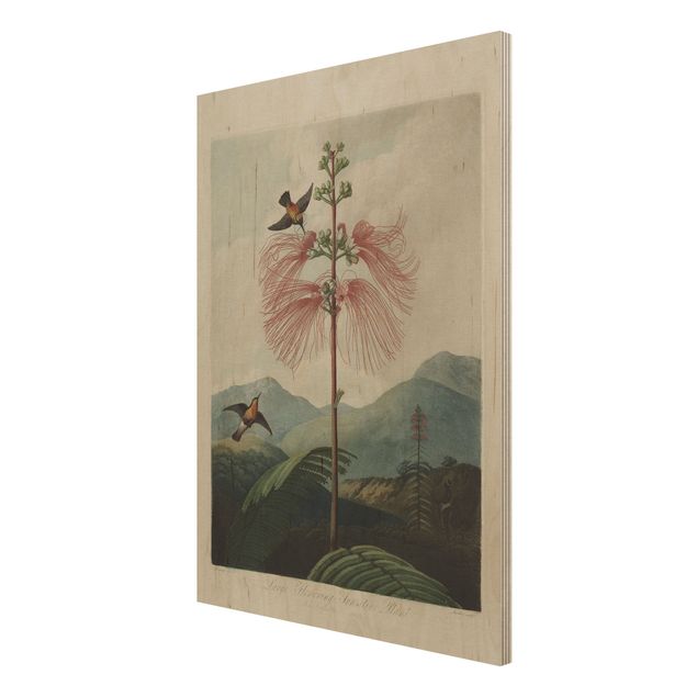 Wandbild Holz Botanik Vintage Illustration Blüte und Kolibri