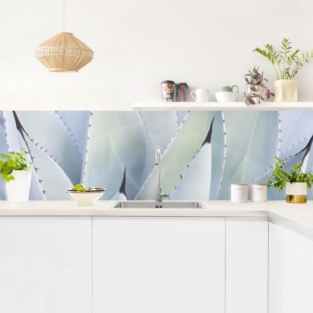 Wandpaneele Küche Agavenblätter