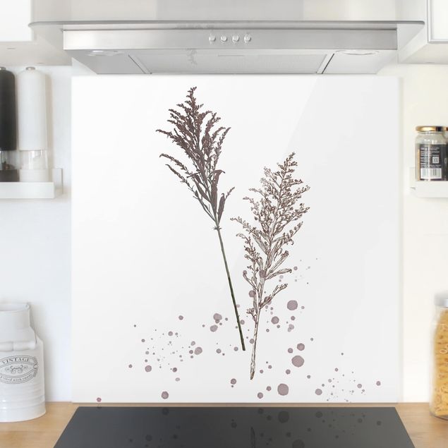 Glasrückwand Küche Blumen Botanisches Aquarell - Schwingelschilf