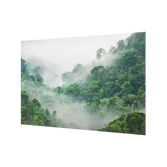 Spritzschutz Küche Dschungel im Nebel