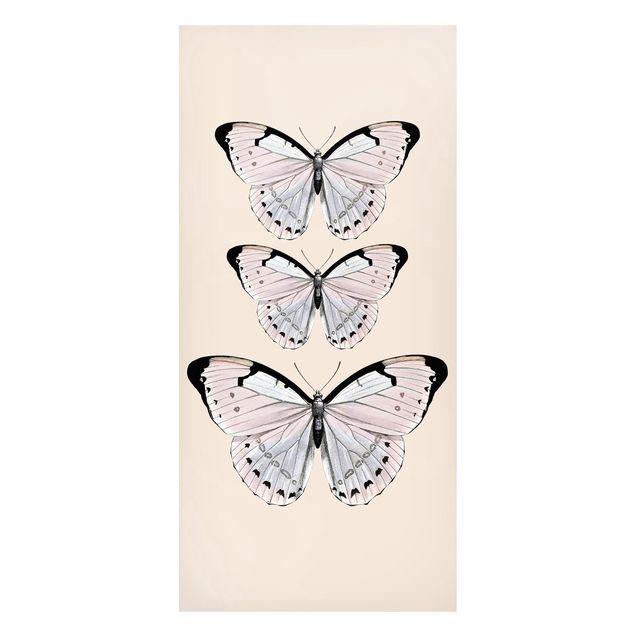 Magnettafel - Schmetterling auf Beige - Panorama Hochformat