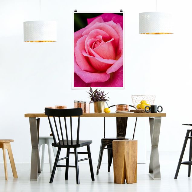 Moderne Poster Pinke Rosenblüte vor Grün