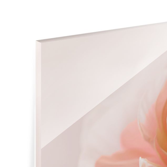 Spritzschutz Glas - Rosa Blüte im Fokus - Querformat 2:1