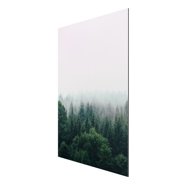 Alu-Dibond - Wald im Nebel Dämmerung - Querformat