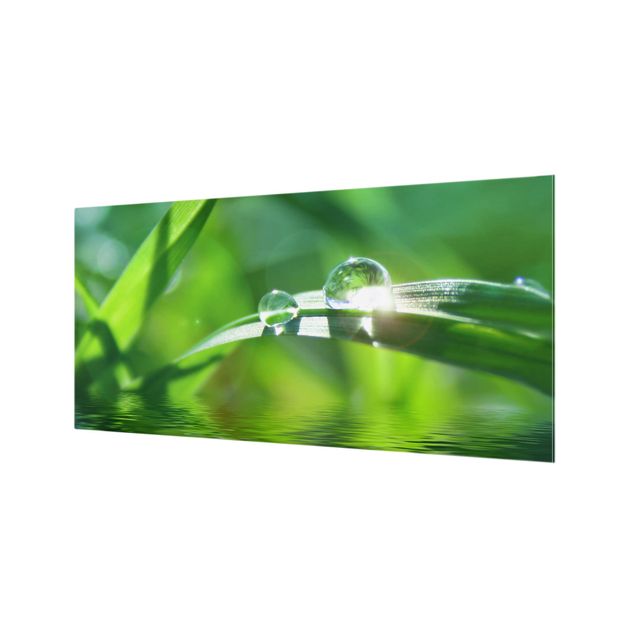 Spritzschutz Glas - Green Ambiance II - Querformat - 2:1
