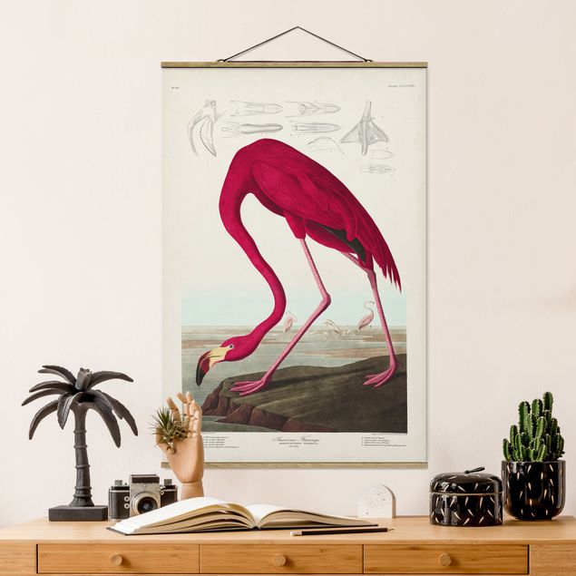 schöne Bilder Vintage Lehrtafel Amerikanischer Flamingo