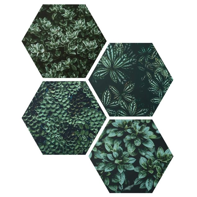 Hexagon Bild Forex 4-teilig - Grüne Blätter Set I