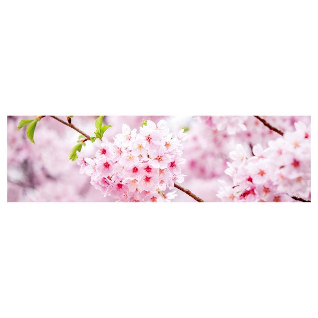 Küchenrückwand Motiv Japanische Kirschblüten