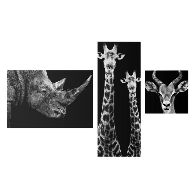 Leinwandbild 3-teilig - Safari Trilogie I - Collage 2