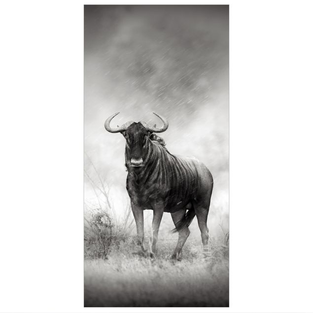 Raumteiler - Staring Wildebeest 250x120cm