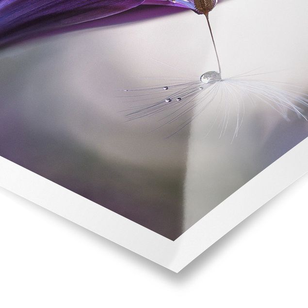 Poster - Purple Rain - Quadrat 1:1