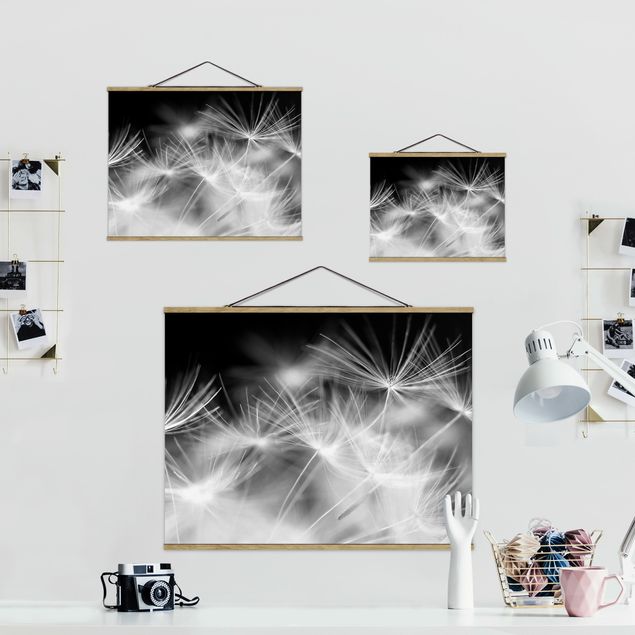 Stoffbild mit Posterleisten - Bewegte Pusteblumen Nahaufnahme auf schwarzem Hintergrund - Querformat 4:3