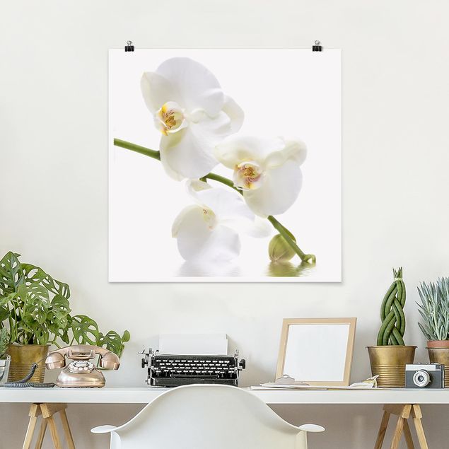 Poster - White Orchid Waters - Quadrat 1:1