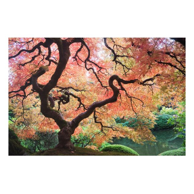 Foto auf Hartschaumplatte Japanischer Garten