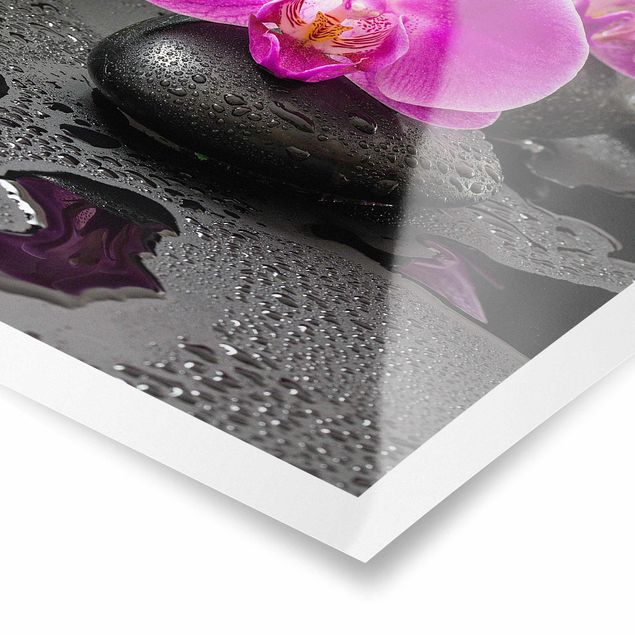 Poster - Pinke Orchideenblüten auf Steinen mit Tropfen - Hochformat 3:2