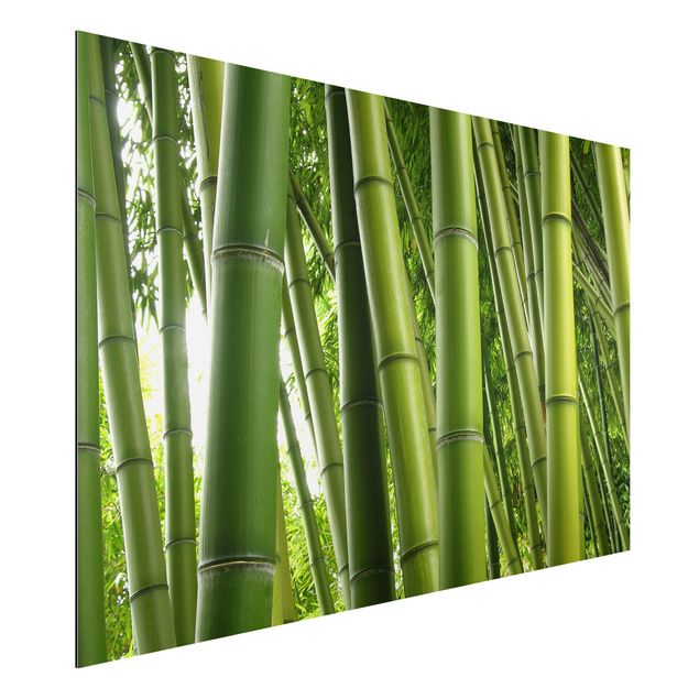 Bilder Bamboo Trees No.1