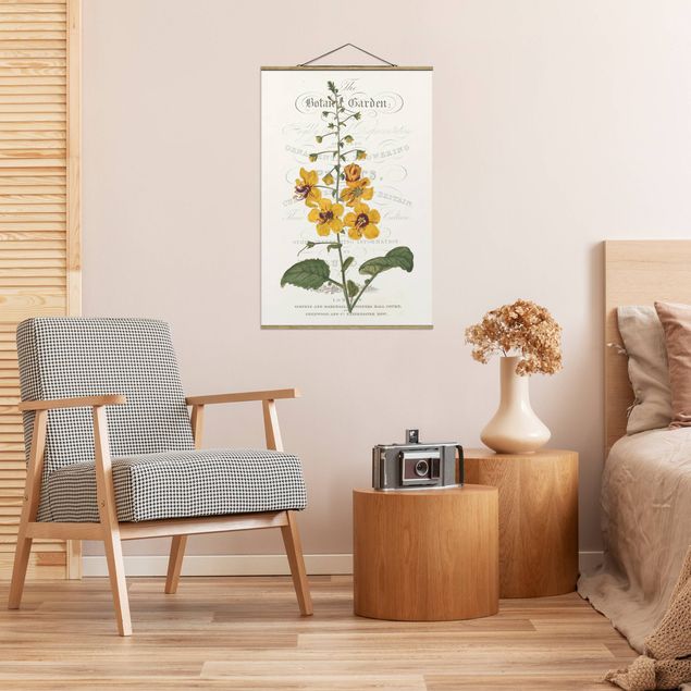 Stoffbild mit Posterleisten - Botanisches Tableau - Königskerze - Hochformat 2:3