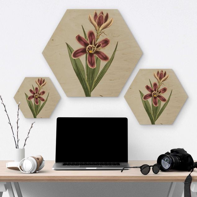 Hexagon Bild Holz - Florale Schmuckstücke II