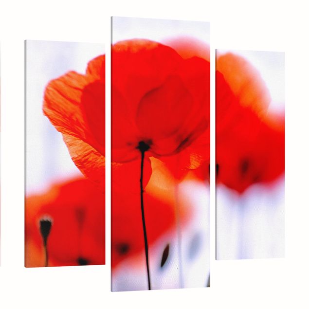 Leinwandbild 3-teilig - Magic Poppies - Galerie Triptychon