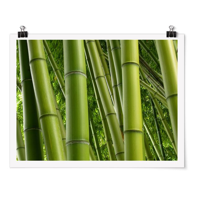 Poster - Bamboo Trees No.2 - Querformat 3:4