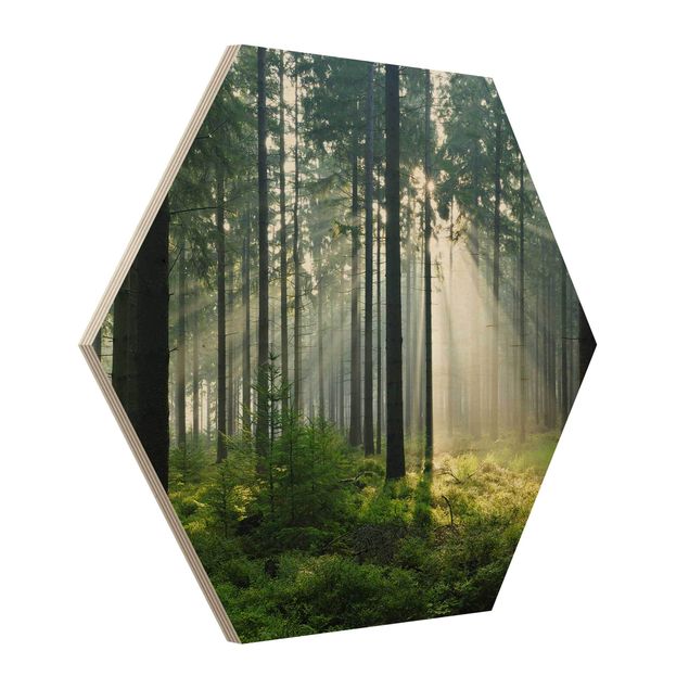 Hexagon Bild Holz - Enlightened Forest