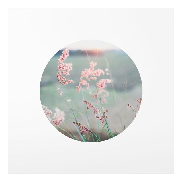 Spritzschutz Glas - Pinke Blumen im Kreis - Quadrat 1:1