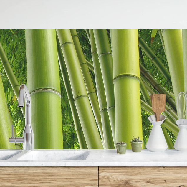 Platte Küchenrückwand Bamboo Trees No.1