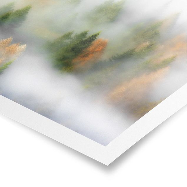 Poster - Nebelwald im Herbst - Quadrat 1:1