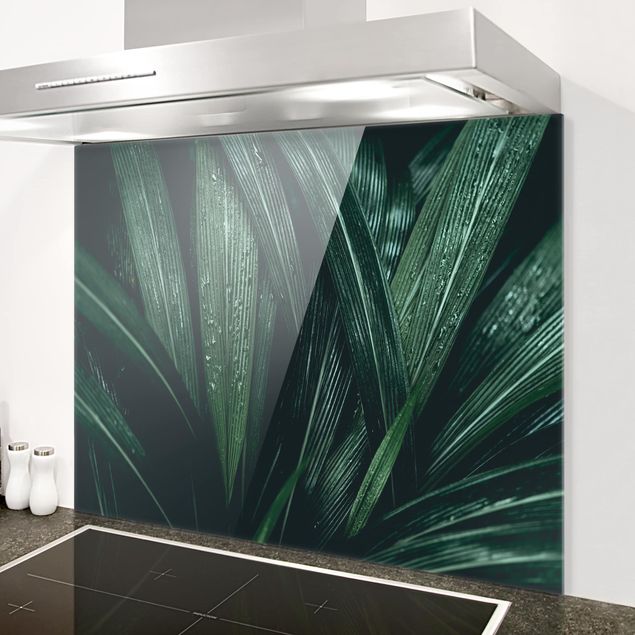 Glasrückwand Küche Blumen Grüne Palmenblätter