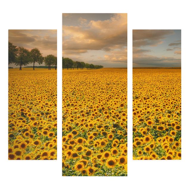 Leinwandbild 3-teilig - Feld mit Sonnenblumen - Galerie Triptychon