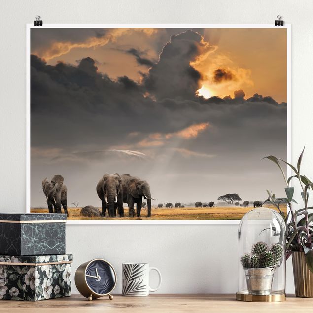 Poster Elefanten Elefanten der Savanne