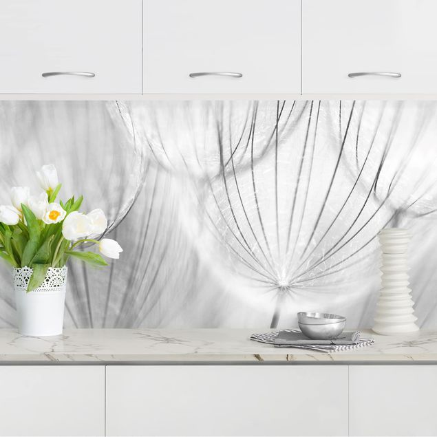 Platte Küchenrückwand Pusteblumen Makroaufnahme in schwarz weiß