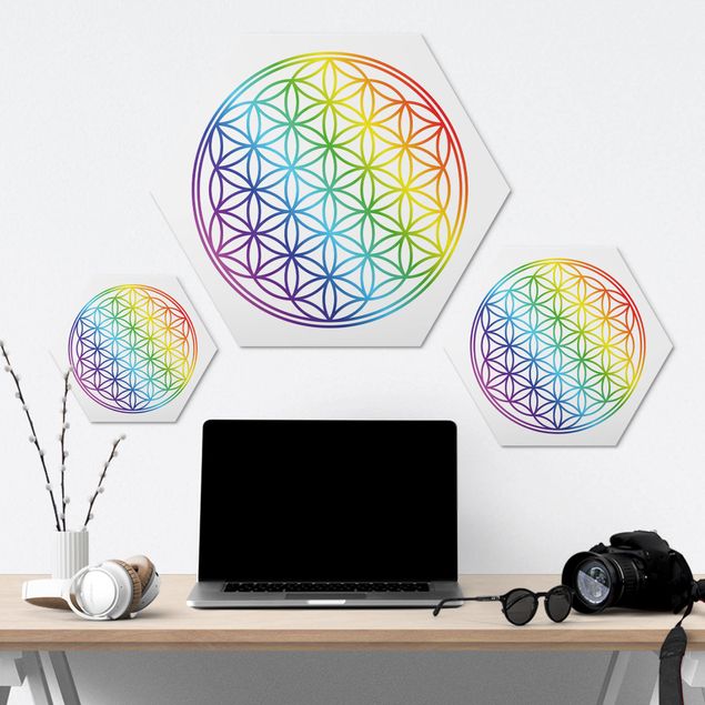 Hexagon Bild Alu-Dibond - Blume des Lebens Regenbogenfarbe