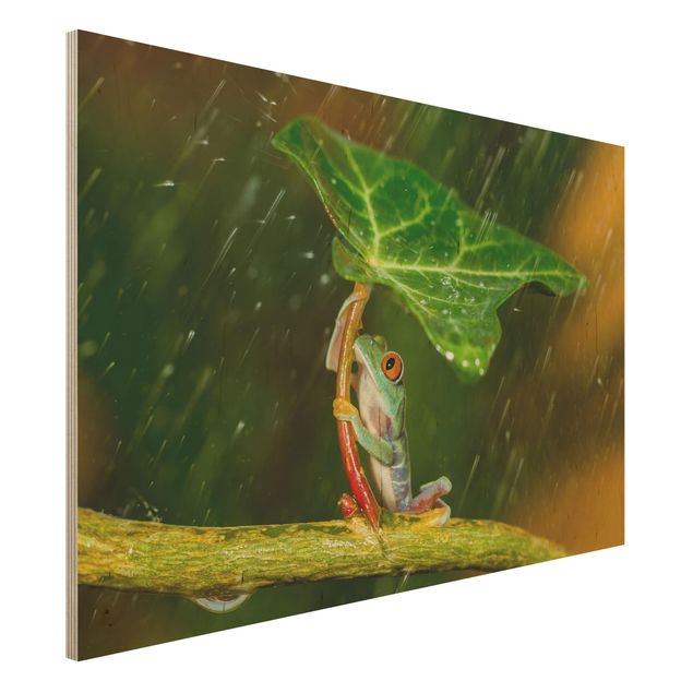 Wandbild Holz Ein Frosch im Regen