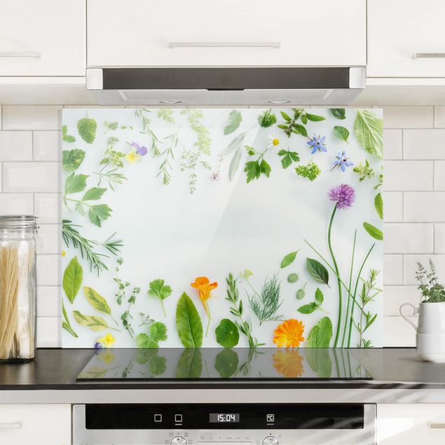 Glasrückwand Küche Blumen Kräuter und Blüten