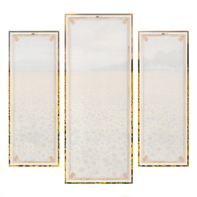 Leinwandbild 3-teilig - Feld mit Sonnenblumen - Galerie Triptychon