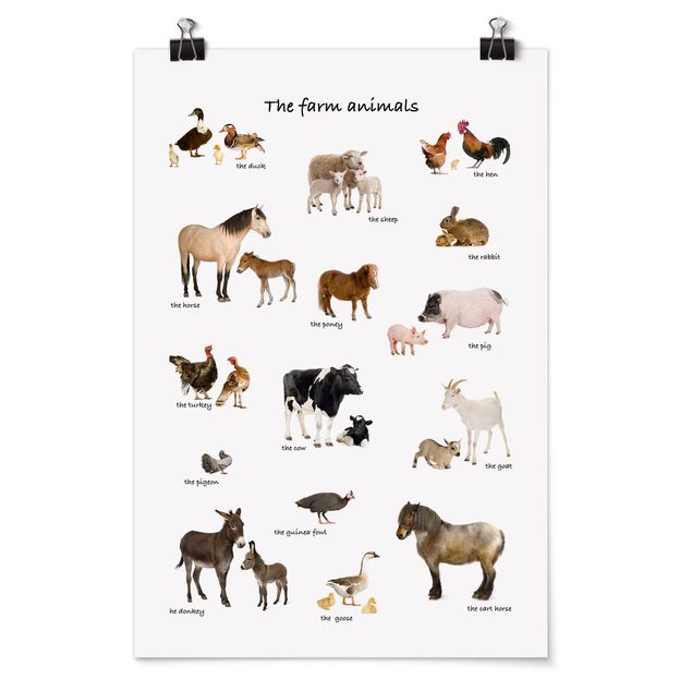 Poster - Farm Animals - Hochformat 3:2