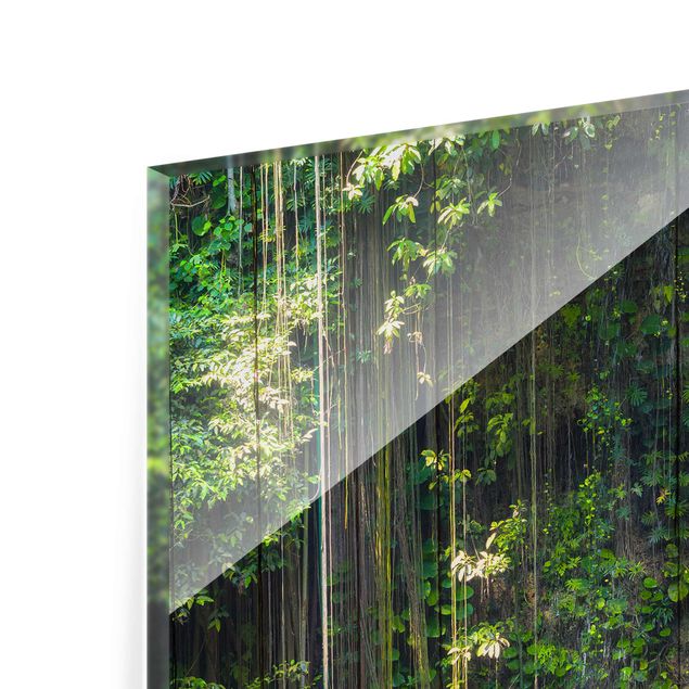 Glasbilder Hängende Wurzeln von Ik-Kil Cenote
