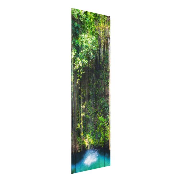 XXL Glasbilder Hängende Wurzeln von Ik-Kil Cenote