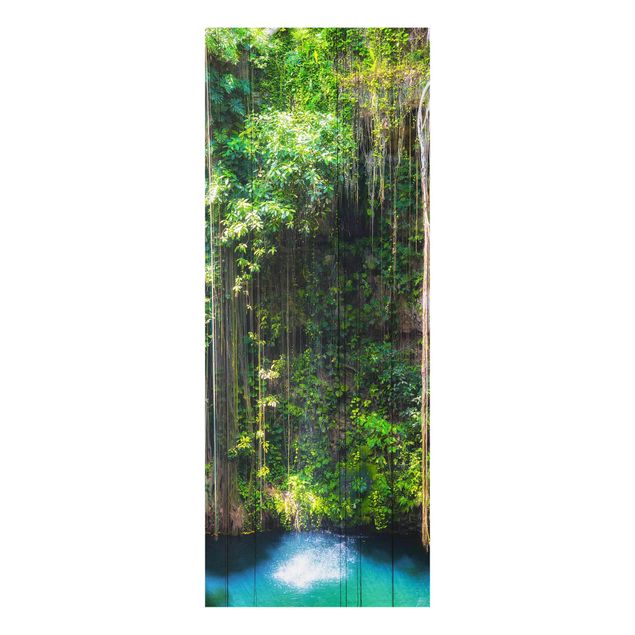 Wandbilder Glas Natur Hängende Wurzeln von Ik-Kil Cenote