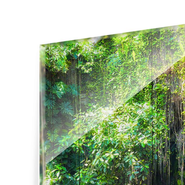 Bilder auf Glas Hängende Wurzeln von Ik-Kil Cenote