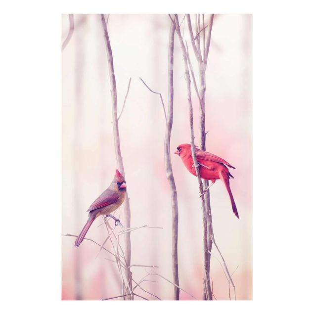 Glasbild - Vögel auf Zweigen - Hoch 2:3