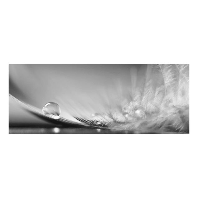 Glasbild - Story of a Waterdrop Black White - Panorama Quer