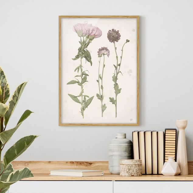 Moderne Bilder mit Rahmen Herbarium in rosa III