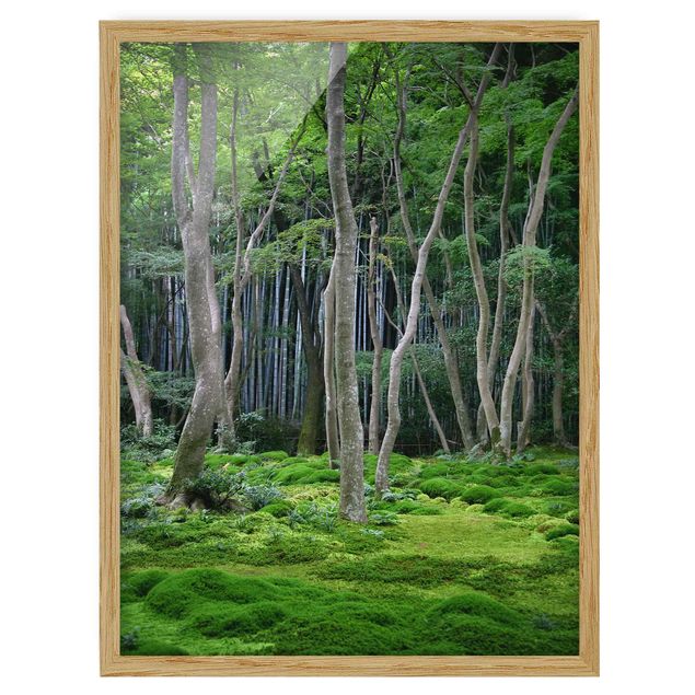 Wandbilder mit Rahmen Japanischer Wald