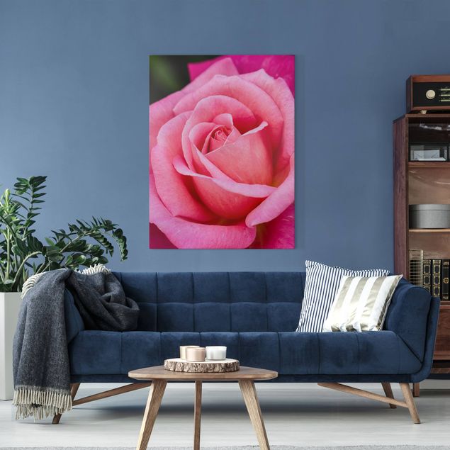 Leinwandbilder Blumen Pinke Rosenblüte vor Grün